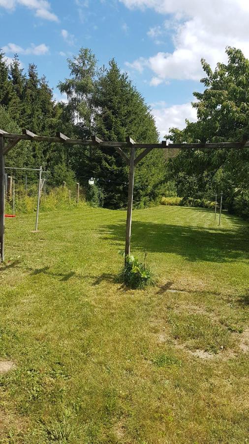 Janos-Ferienwohnung Friedrichsbrunn Esterno foto